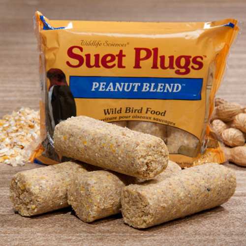 Peanut Blend Suet Plugs 24/Pack